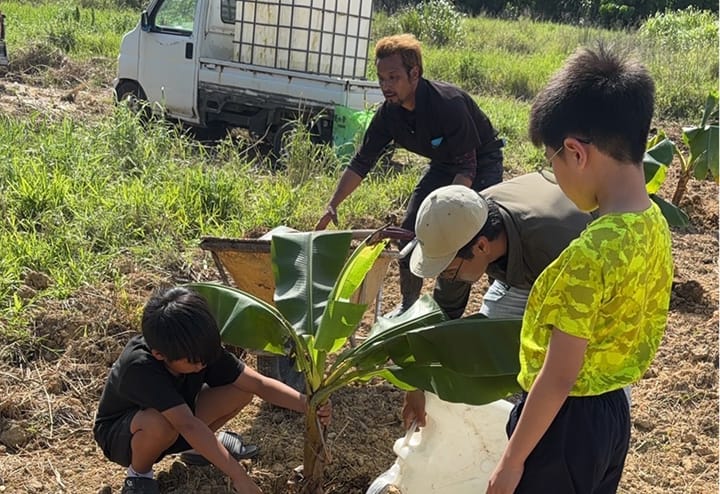 親子でのバナナ植え付け体験
